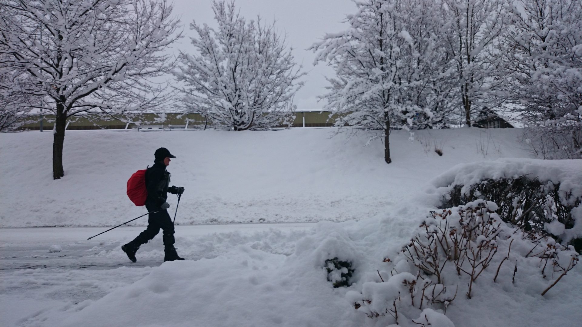Sport d'hiver : la marche nordique